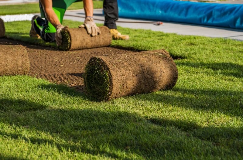 Cost of Sod Removal — Cost of Sod Removal