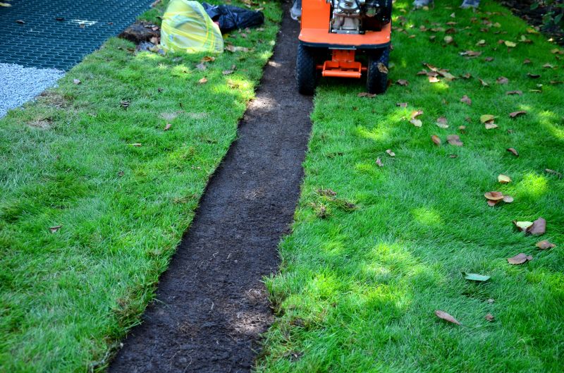 Cost of Sod Removal — Cost of Sod Removal