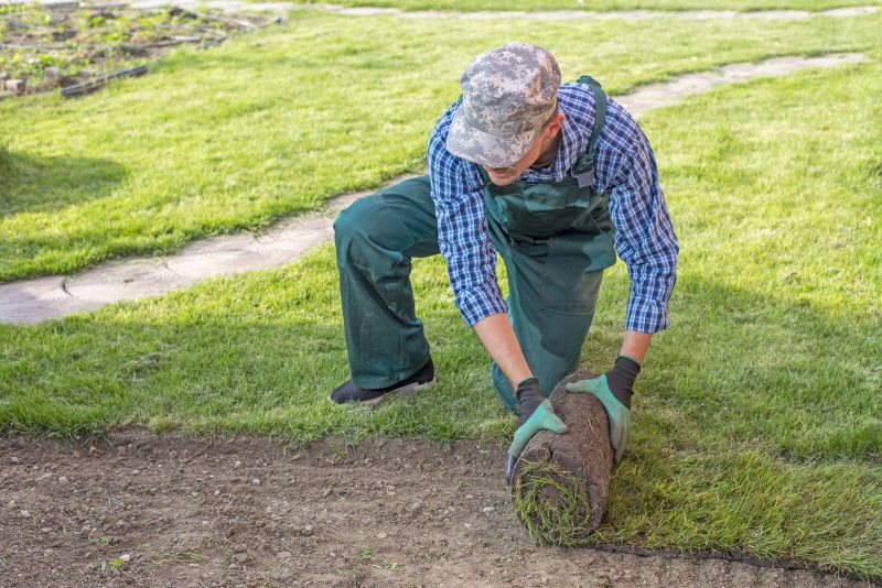 Cost of Sod Removal — Cost of Sod Removal