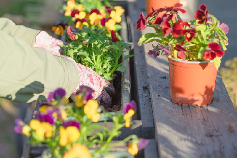 Perennials Planting in Ventura County, CA