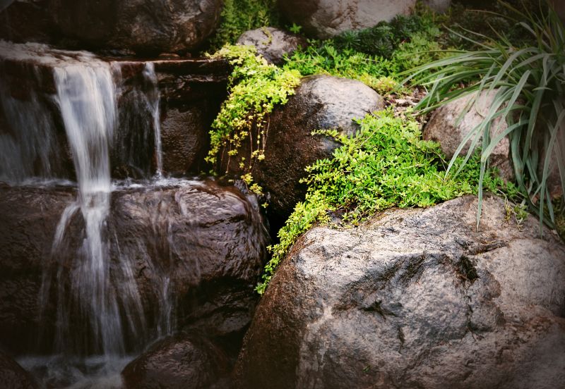 Water Garden Installation in Honolulu, HI