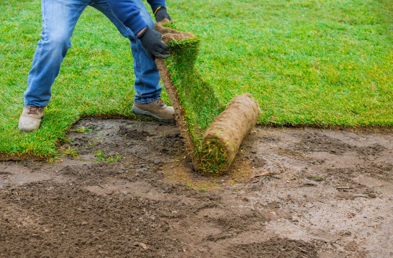 Prepare for new landscaping or hardscaping