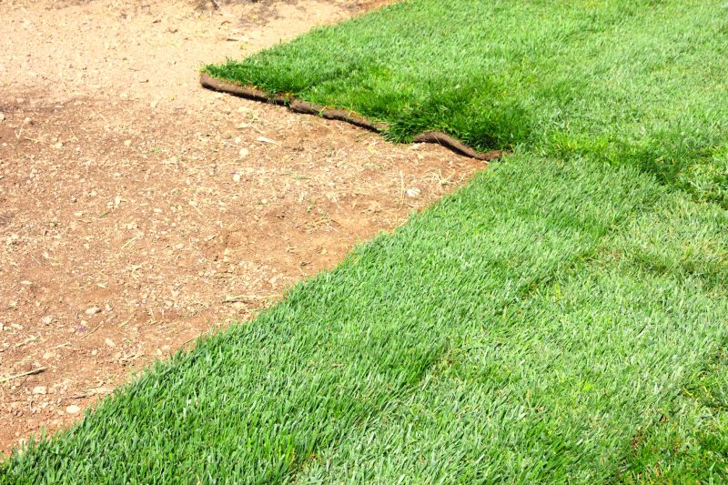 Remove unwanted grass and growth