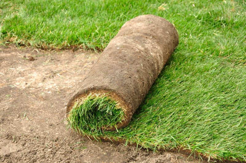Create a clean slate for a refreshed yard